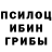 Псилоцибиновые грибы Psilocybine cubensis Mica Toca