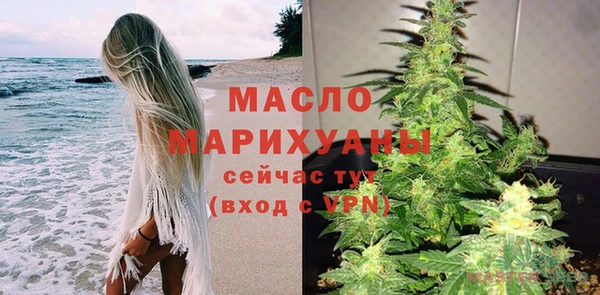 амф Гусь-Хрустальный