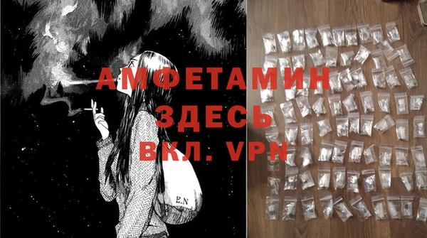 крисы Вязьма